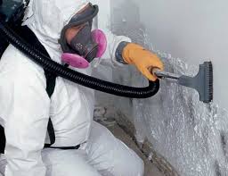 Best Mold Remediation for Healthcare Facilities  in USA